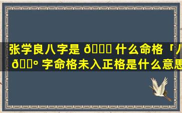 张学良八字是 🍀 什么命格「八 🌺 字命格未入正格是什么意思」